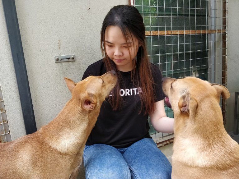 CSR SPCA Selangor