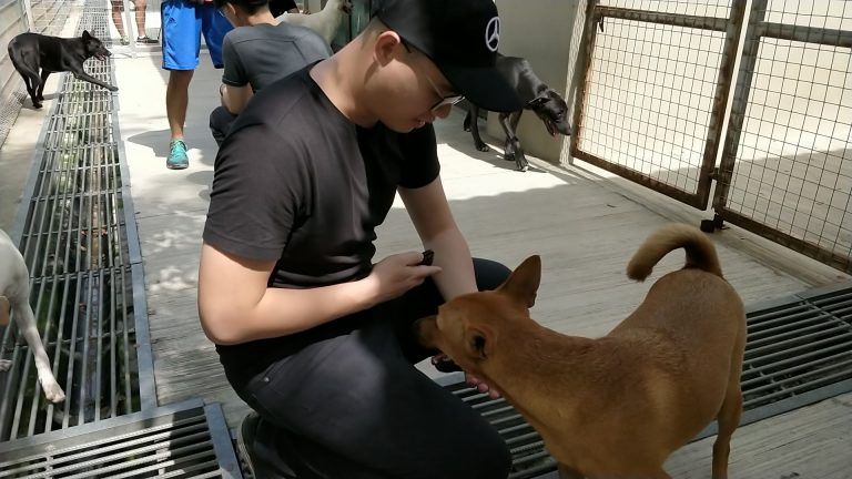 CSR SPCA Selangor